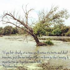 Pin On Quotes Sayings Just Because Humor