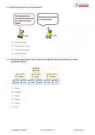 When autocomplete results are available use up and down arrows to review and enter to select. Class 3 Science Worksheet Animals 01 Question Paper Science Worksheets Word Problem Worksheets