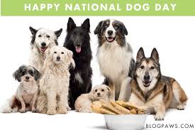 A number of online retailers have sales for the big day. National Dog Day Archives Blogpaws