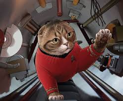 Who Wore It Better Trek Cats Edition Scotty Star Trek Star Trek Show Cat Art