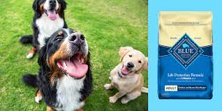 Best Dry Dog Food According To Experts And Veterinarians