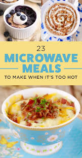 23 Microwave Meals You Can Make When It S Too Hot To Cook Microwave Recipes Microwave Mug Recipes Healthy Microwave Meals