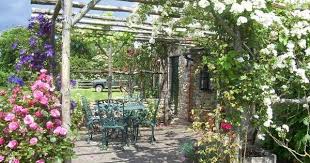 Plantes Grimpantes Pour Pergola 20 Idees Romantiques Rosier Grimpant Blanc Jardins Plante Grimpante