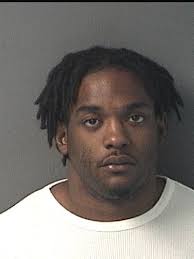 Suspected Pensacola puppy thief arrested