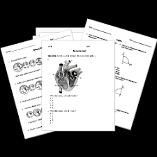 Algebra 1 common core 9th high school: Free Printable Worksheets For All Subjects K 12
