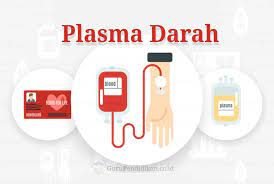 Protein 89%, protein yang terdapat dalam plasma darah adalah serum albumin, serum globulin, dan fibrinogen; Pengertian Plasma Darah Fungsi Ciri Komponen Dan Susunan