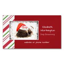 Festive Pug In Red Santa Hat With Christmas Lights Magnetic Business Card Zazzle Com Magnetic Business Cards Business Card Red Business Card Pattern