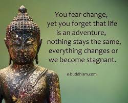 Buddha said, let me tell you what i lost: Pin On Reminder