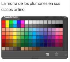 Busca el que necesites entre modelos desde 1,5 plazas. Guia Para Ser La Morra De Los Plumones Meme Amino