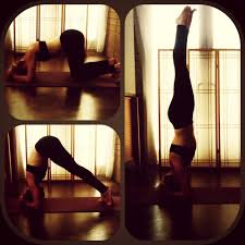 One or two months of unlimited yoga classes at yoga connection (up to 65% off). My Sirsasana 1at The Practice Taught By Stephani Lindsey On Sundays From 1 30pm 3 30pm At Yoga Oasis Downtown In Tucson Az Tucson Az Tucson This Town
