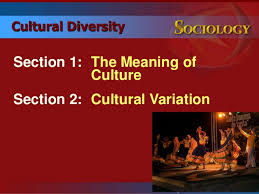 Cultural Diversity