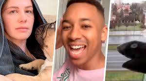 Best coronavirus memes, and how they might save us all