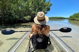Please book your reservation in advance as space is limited. Clear Kayak Tour Of Shell Key Preserve And Tampa Bay Area 2021 St Petersburg