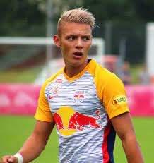 Hannes wolf transfers & career history. Hannes Wolf Footballer Wikiwand