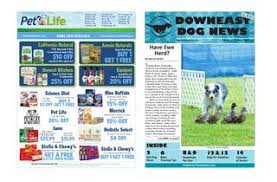 We offer a wide variety of services to fit your need. 2017 April Downeast Dog News By Jennifer Rich Wendi Smith Issuu