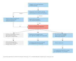 Image result for Isolated Proteinuria