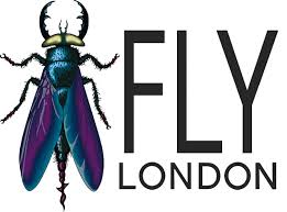 Image result for fly logo