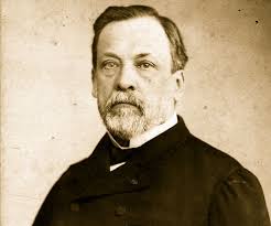 The pasteur effect is an inhibiting effect of oxygen on the fermentation process. Louis Pasteur Spontaneous Generation And Germ Theory