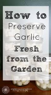 Preserve Your Garlic With This Easy Step By Step Guide Recipe Preserving Garlic Canning Canning Recipes