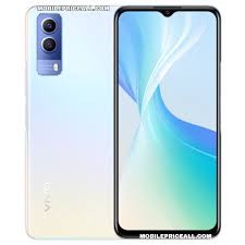 Vivo Y55 5G Price in Italy