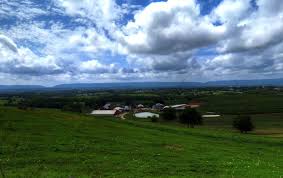 Today, there are over 1,300 farms and 188,576 acres of farmland. All About Braddock Heights Neighborhood Frederick Real Estate Online