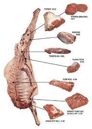 Camel meat sound exotic, but camel meat is national food and it's popular in the whole gulf. Samex Australian Meat Exporters