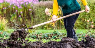 Try selecting plants that are more tolerant of wetter soils in areas that are likely to get boggy. Working Farmer In The Garden Organic Fertilizer For Manuring Soil Preparing Field For Planting In Spring Bio Farming Or Autumn Gardening Concept Stock Photo Picture And Royalty Free Image Image 88244619