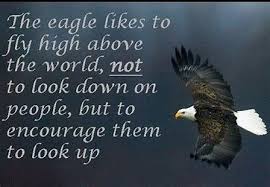 Quotes About Eagles Success Bing Images Love Quotes For Her Eagles Eagles Quotes Sometimes we have to let go of what's killing us, even if it's killing us to let go. 3. quotes about eagles success bing