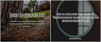 Lebih baik untuk berpikir, mencintai, dan bermimpi. 40 Kata Kata Bijak Tentang Cermin Kehidupan Jadi Bahan Renungan Brilio Net Line Today