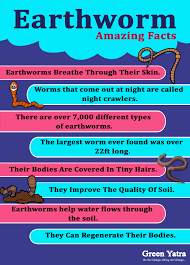 Marine worms may breathe through their skin or through the soft, feather appendages they have. Facebook