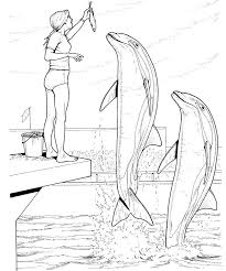 Winter Dolphin Tale Coloring Pages Dolphin Coloring Pages Dolphin Tale Mermaid Coloring Pages