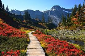 Trail Along Lower Bagley Lake With Table Mt In The Background Washington Travel Washington Vacation Places To Go