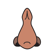 Smell Clipart Nose Smell Smell Nose Smell Transparent Free For Download On Webstockreview 2021 Nose cartoon white png clipart animated cartoon anime. smell clipart nose smell smell nose