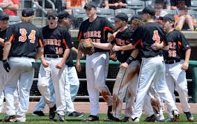 State baseball tournament — Chapmanville hangs