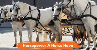 How Much Horsepower Is A Horse? - Youtube