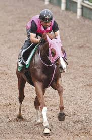 Jun 07, 2021 · 6月13日（日）札幌競馬場で行われる、第28回函館スプリントステークス（g3・3歳上オープン・芝1200m）の登録馬は下記の通り。 スピード優位なその走りから、短距離に活路を求めてようやく結果が出たコントラチェック。 Mddkvdpuijniqm