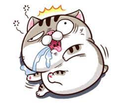 Pin On Meowcos