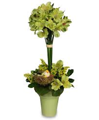 Maybe you would like to learn more about one of these? Going Green Topiary Arrangement In Canon City Co Touch Of Love Florist And Weddings