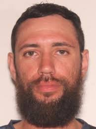 Sex Offenders near Aloma Elementary