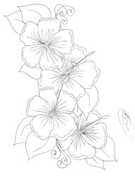 Find images of flower outline. Hibiscus Flower Outlines Novocom Top