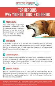 Reports state that cancer is one of the principal causes of death in dogs. Dbfnfp3frq1cpm