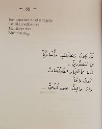 Mjcodez Words Quotes Arabic Quotes Feelings Words