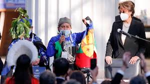 La mapuche elisa loncón presidirá la convención constituyente chilena. Elisa Loncon Una Indigena Mapuche Presidira La Convencion Constituyente Que Tendra Que Escribir Un Nuevo Chile Internacional El Pais