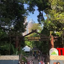 This is hutan simpanan bukit nenas 2015 by mohamad azwan on vimeo, the home for high quality videos and the people who love them. Bukit Nanas Forest Reserve Naturschutzgebiet In Kuala Lumpur