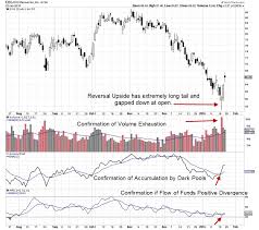 Martha Stokes Identifying Reversal Patterns Top Advisors