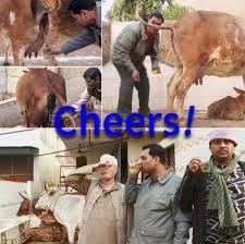 🌈大王叫我来巡推🇨🇳❤️🇨🇳 on X: @ashu123bharat @HuXijin_GT This tweet is about  the US, not India, why are you insulting China? Did you drink too much fucking  cow urine? t.cow6wSdD35dy  X