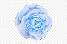 We did not find results for: Flower Blue Blueflower Smeraldo Smeraldoflower Freetoed Aesthetic Purple Flower Transparent Png Blue Flower Transparent Background Free Transparent Png Images Pngaaa Com
