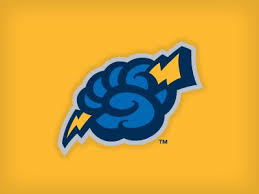 Thunder Animal Logo Lightning Logo Art Logo