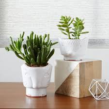 Have y'all seen these modern/mid century plant stands? Figurative Animal Planters