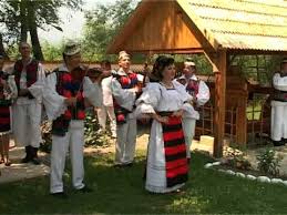 Dans si voie buna toata noapte, focuri de artificii. Ancuta Anghel Zice Ion Catre Petrea Music Track On Frogtoon Music